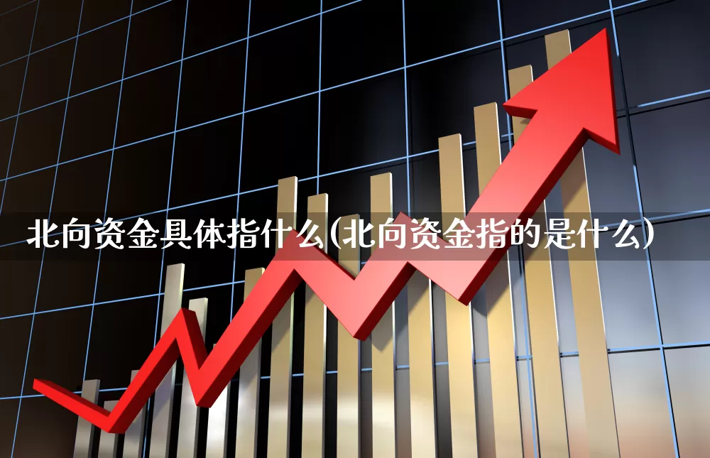 北向资金具体指什么(北向资金指的是什么)_https://www.fzdzcxj.com_科创板_第1张