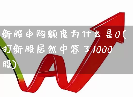 新股申购额度为什么是0(打新股居然中签了1000股)_https://www.fzdzcxj.com_创业板_第1张