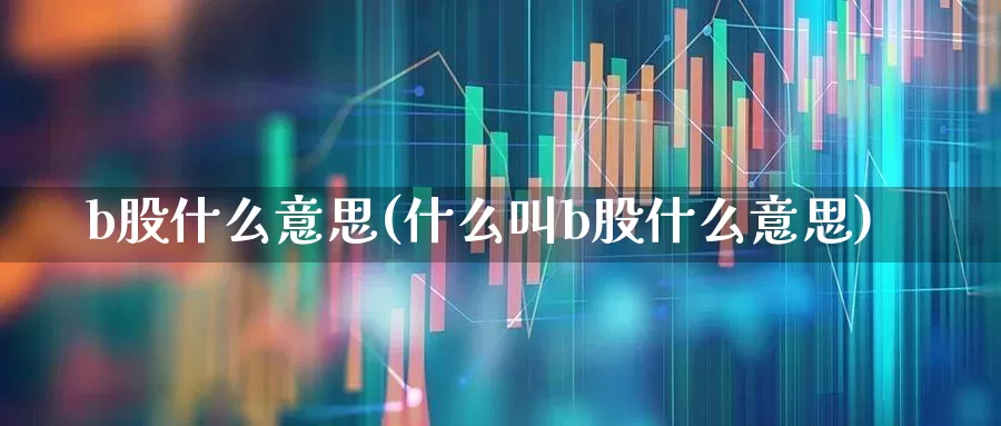 b股什么意思(什么叫b股什么意思)_https://www.fzdzcxj.com_深交所_第1张