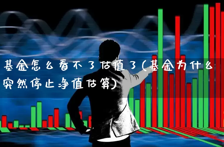 基金怎么看不了估值了(基金为什么突然停止净值估算)_https://www.fzdzcxj.com_深交所_第1张