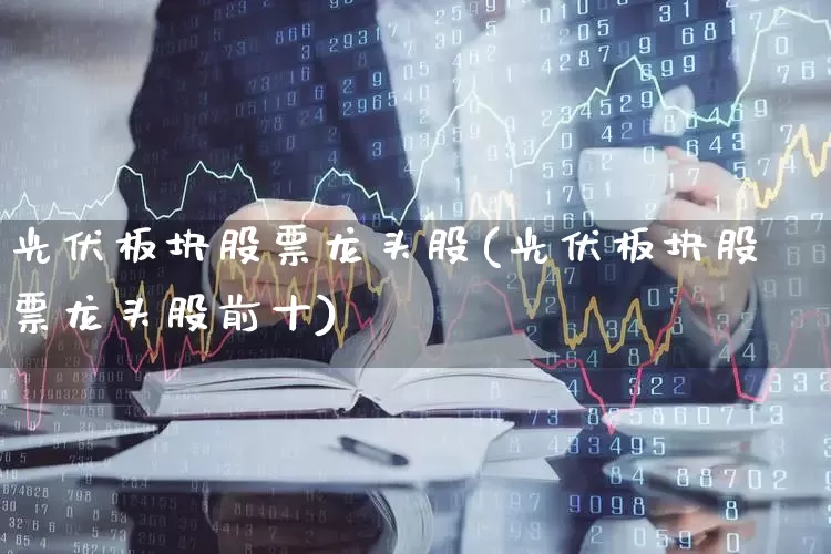 光伏板块股票龙头股(光伏板块股票龙头股前十)_https://www.fzdzcxj.com_深交所_第1张