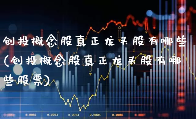 创投概念股真正龙头股有哪些(创投概念股真正龙头股有哪些股票)_https://www.fzdzcxj.com_上交所_第1张