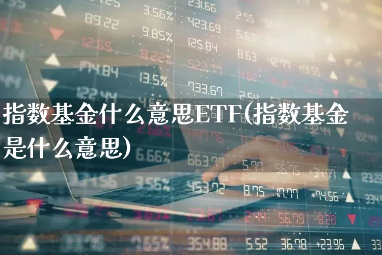 指数基金什么意思ETF(指数基金是什么意思)_https://www.fzdzcxj.com_深交所_第1张
