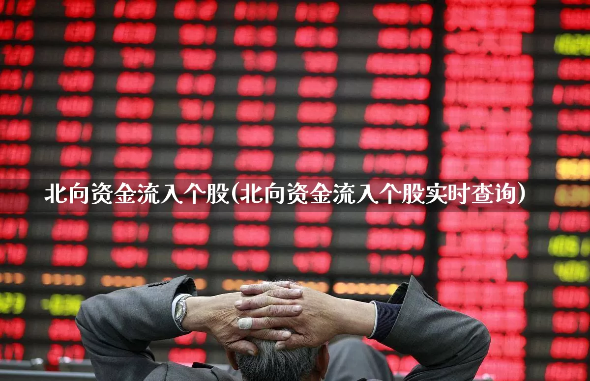 北向资金流入个股(北向资金流入个股实时查询)_https://www.fzdzcxj.com_北交所_第1张