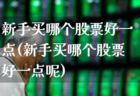 新手买哪个股票好一点(新手买哪个股票好一点呢)_https://www.fzdzcxj.com_科创板_第1张