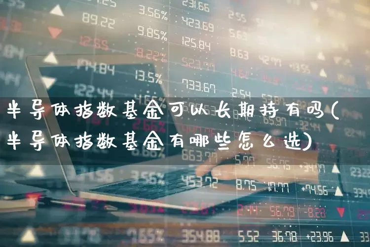 半导体指数基金可以长期持有吗(半导体指数基金有哪些怎么选)_https://www.fzdzcxj.com_创业板_第1张