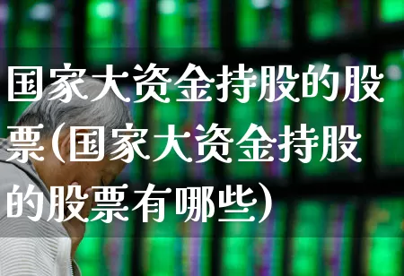 国家大资金持股的股票(国家大资金持股的股票有哪些)_https://www.fzdzcxj.com_上交所_第1张
