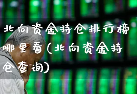 北向资金持仓排行榜哪里看(北向资金持仓查询)_https://www.fzdzcxj.com_上交所_第1张