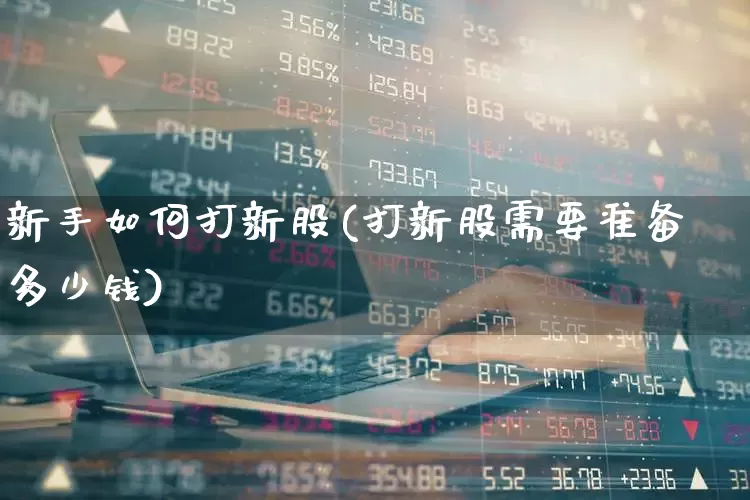 新手如何打新股(打新股需要准备多少钱)_https://www.fzdzcxj.com_北交所_第1张