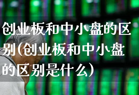 创业板和中小盘的区别(创业板和中小盘的区别是什么)_https://www.fzdzcxj.com_北交所_第1张