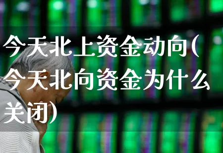 今天北上资金动向(今天北向资金为什么关闭)_https://www.fzdzcxj.com_创业板_第1张