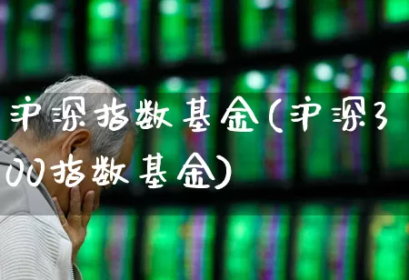 沪深指数基金(沪深300指数基金)_https://www.fzdzcxj.com_上交所_第1张