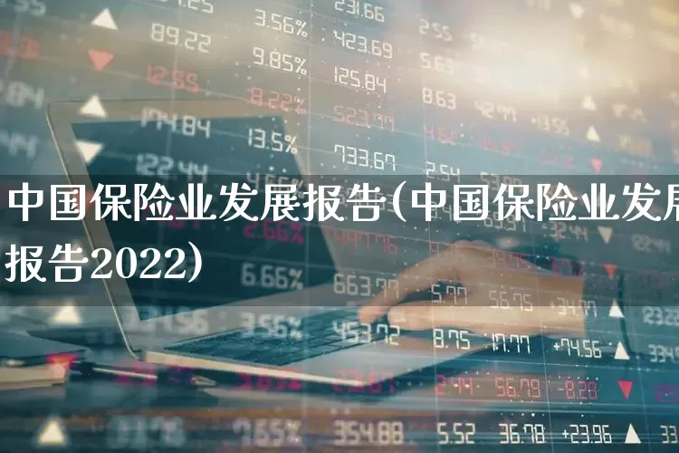 中国保险业发展报告(中国保险业发展报告2022)_https://www.fzdzcxj.com_上交所_第1张
