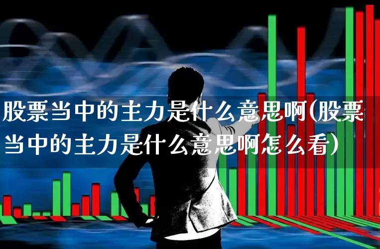 股票当中的主力是什么意思啊(股票当中的主力是什么意思啊怎么看)_https://www.fzdzcxj.com_上交所_第1张