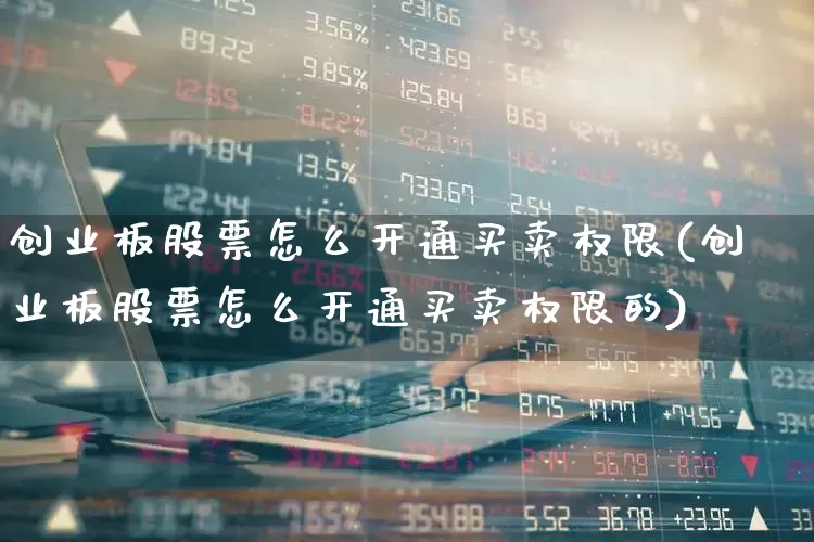 创业板股票怎么开通买卖权限(创业板股票怎么开通买卖权限的)_https://www.fzdzcxj.com_上交所_第1张