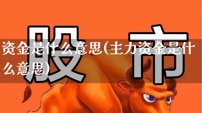 资金是什么意思(主力资金是什么意思)_https://www.fzdzcxj.com_北交所_第1张
