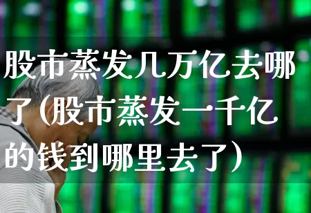 股市蒸发几万亿去哪了(股市蒸发一千亿的钱到哪里去了)_https://www.fzdzcxj.com_北交所_第1张