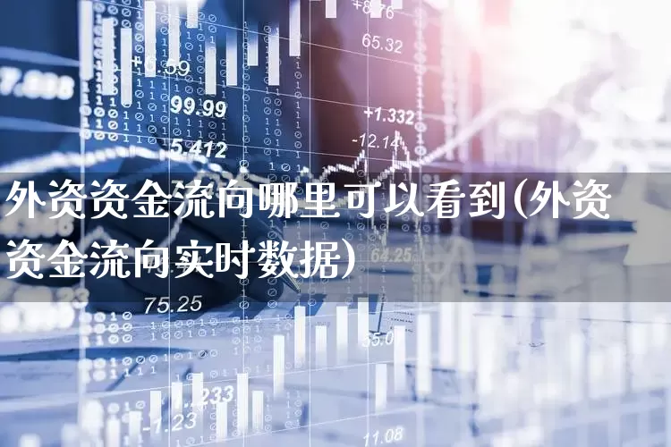 外资资金流向哪里可以看到(外资资金流向实时数据)_https://www.fzdzcxj.com_上交所_第1张