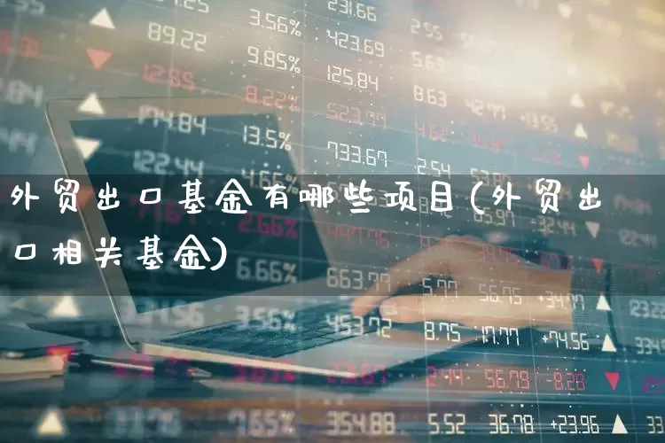 外贸出口基金有哪些项目(外贸出口相关基金)_https://www.fzdzcxj.com_科创板_第1张