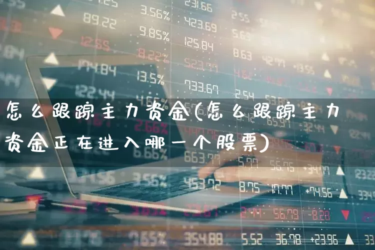 怎么跟踪主力资金(怎么跟踪主力资金正在进入哪一个股票)_https://www.fzdzcxj.com_深交所_第1张