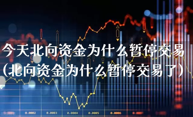 今天北向资金为什么暂停交易(北向资金为什么暂停交易了)_https://www.fzdzcxj.com_深交所_第1张