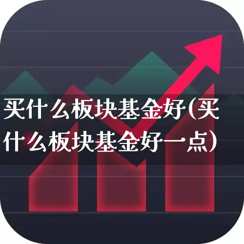 买什么板块基金好(买什么板块基金好一点)_https://www.fzdzcxj.com_创业板_第1张