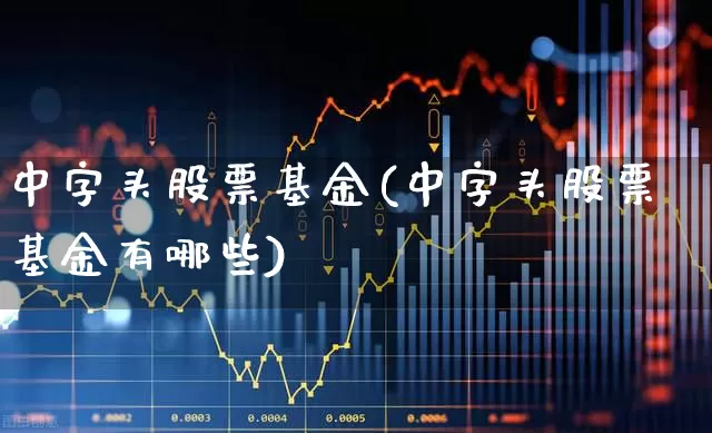 中字头股票基金(中字头股票基金有哪些)_https://www.fzdzcxj.com_深交所_第1张