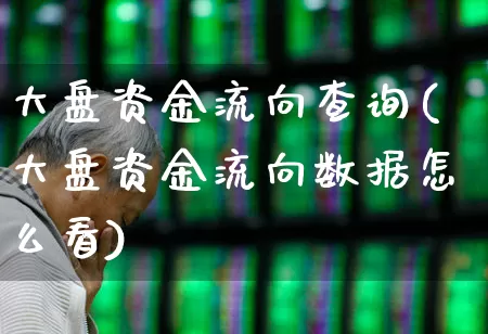 大盘资金流向查询(大盘资金流向数据怎么看)_https://www.fzdzcxj.com_上交所_第1张