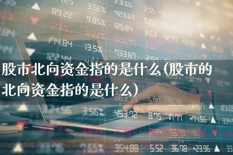 股市北向资金指的是什么(股市的北向资金指的是什么)_https://www.fzdzcxj.com_北交所_第1张