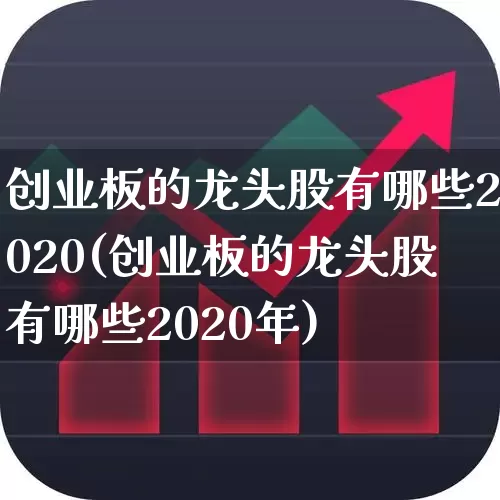 创业板的龙头股有哪些2020(创业板的龙头股有哪些2020年)_https://www.fzdzcxj.com_深交所_第1张