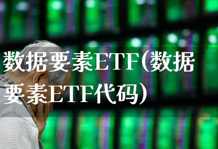 数据要素ETF(数据要素ETF代码)_https://www.fzdzcxj.com_上交所_第1张