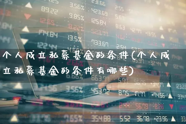 个人成立私募基金的条件(个人成立私募基金的条件有哪些)_https://www.fzdzcxj.com_上交所_第1张