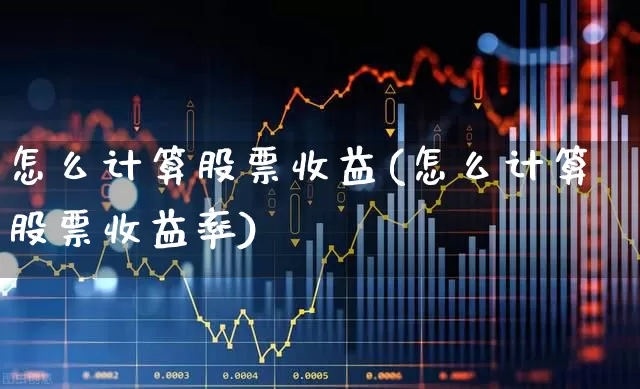 怎么计算股票收益(怎么计算股票收益率)_https://www.fzdzcxj.com_科创板_第1张