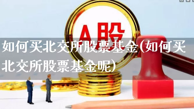 如何买北交所股票基金(如何买北交所股票基金呢)_https://www.fzdzcxj.com_创业板_第1张