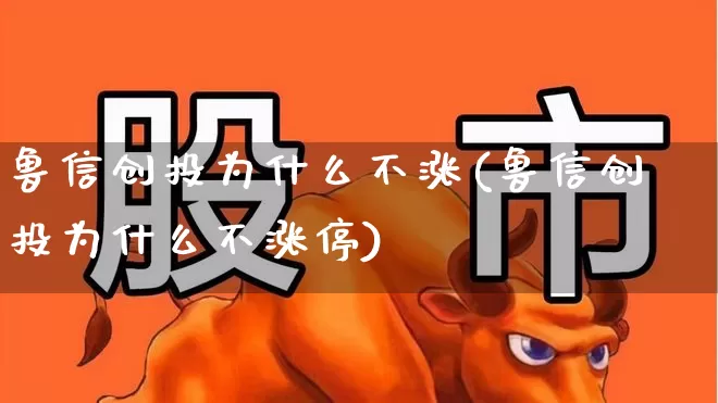 鲁信创投为什么不涨(鲁信创投为什么不涨停)_https://www.fzdzcxj.com_上交所_第1张