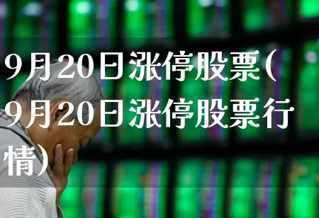 9月20日涨停股票(9月20日涨停股票行情)_https://www.fzdzcxj.com_科创板_第1张