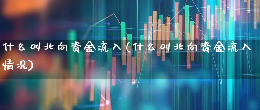 什么叫北向资金流入(什么叫北向资金流入情况)_https://www.fzdzcxj.com_科创板_第1张