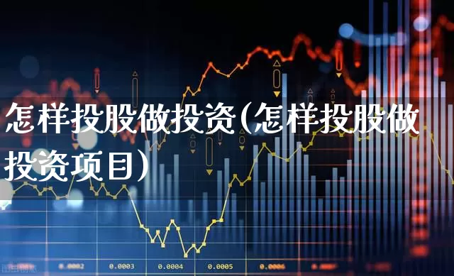 怎样投股做投资(怎样投股做投资项目)_https://www.fzdzcxj.com_科创板_第1张