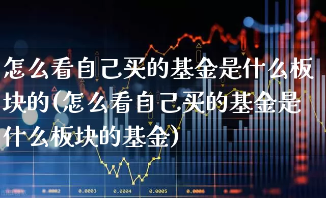 怎么看自己买的基金是什么板块的(怎么看自己买的基金是什么板块的基金)_https://www.fzdzcxj.com_上交所_第1张