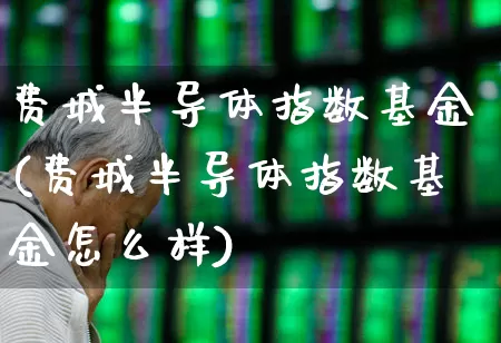 费城半导体指数基金(费城半导体指数基金怎么样)_https://www.fzdzcxj.com_科创板_第1张