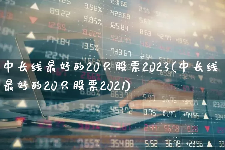 中长线最好的20只股票2023(中长线最好的20只股票2021)_https://www.fzdzcxj.com_北交所_第1张