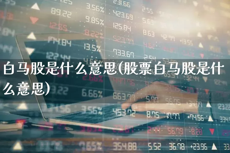 白马股是什么意思(股票白马股是什么意思)_https://www.fzdzcxj.com_北交所_第1张