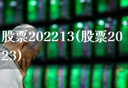 股票202213(股票2023)_https://www.fzdzcxj.com_科创板_第1张