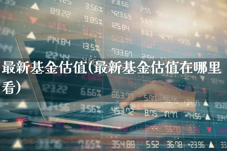 最新基金估值(最新基金估值在哪里看)_https://www.fzdzcxj.com_北交所_第1张